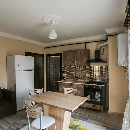 Travel In 2 Apartment *